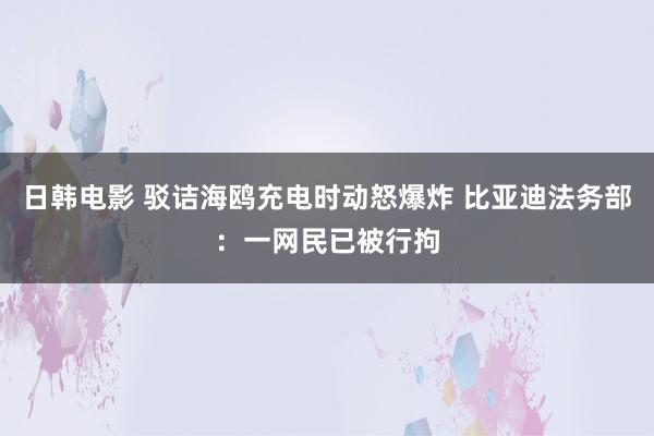 日韩电影 驳诘海鸥充电时动怒爆炸 比亚迪法务部：一网民已被行拘