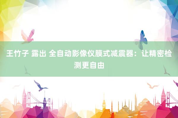 王竹子 露出 全自动影像仪膜式减震器：让精密检测更自由