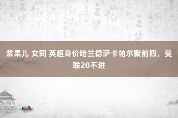 浆果儿 女同 英超身价哈兰德萨卡帕尔默前四，曼联20不进